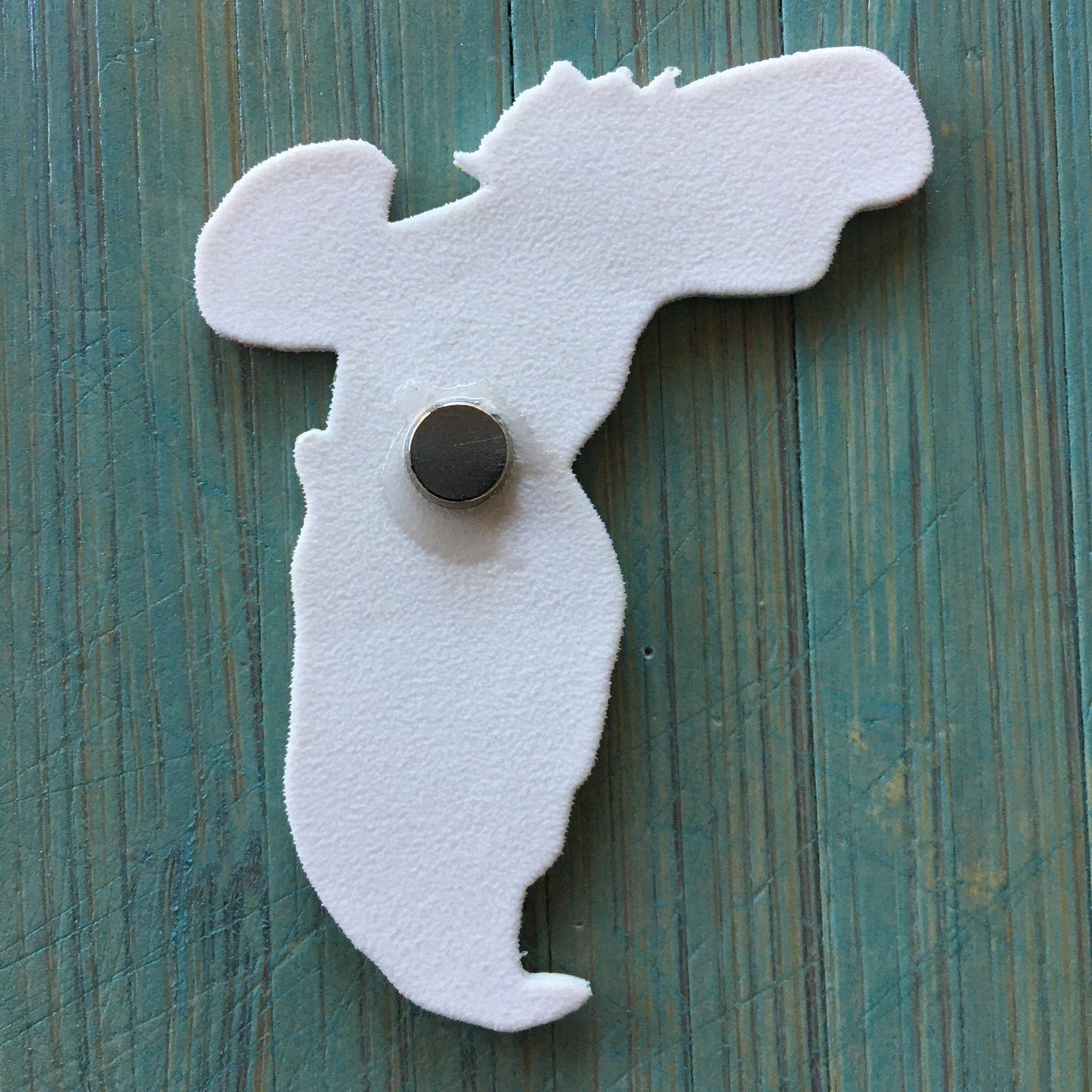 Florida Map Magnet: Illustrated Travel Souvenir