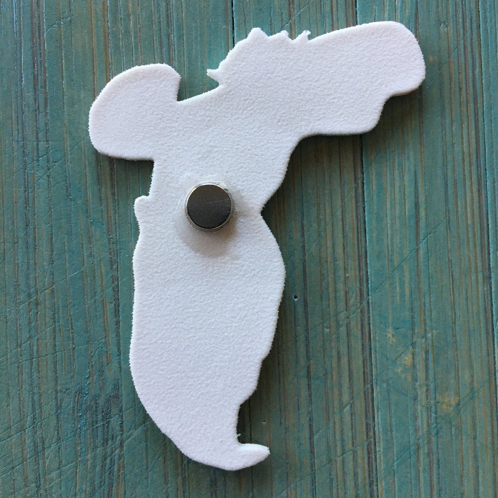 Florida Map Magnet: Illustrated Travel Souvenir